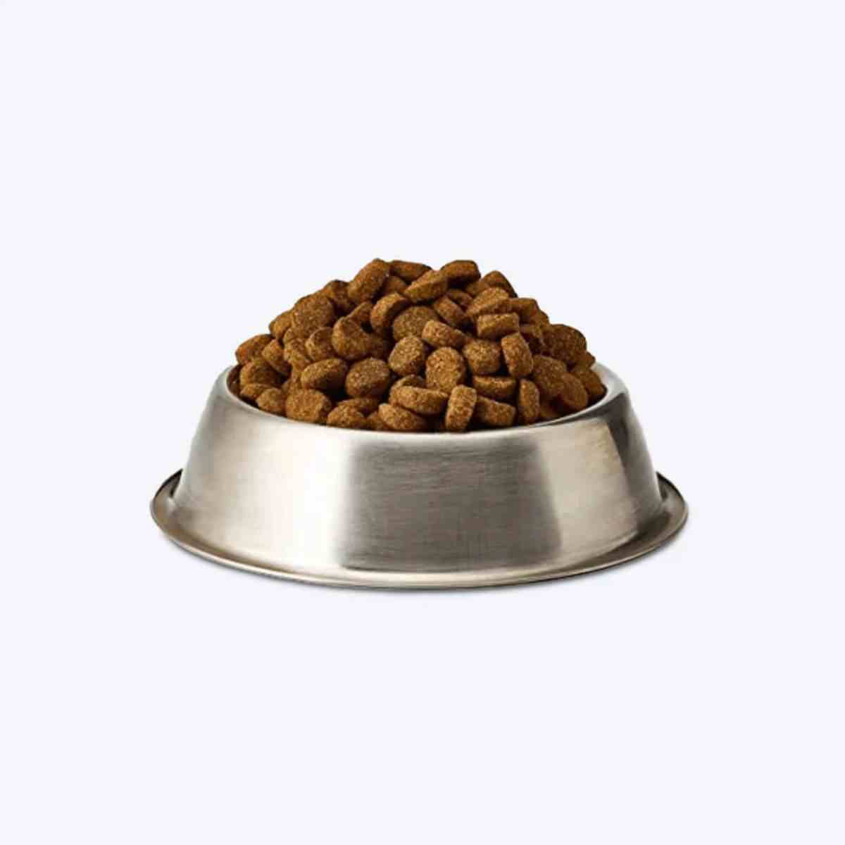 Acana Puppy Large Breed Dry Dog Food