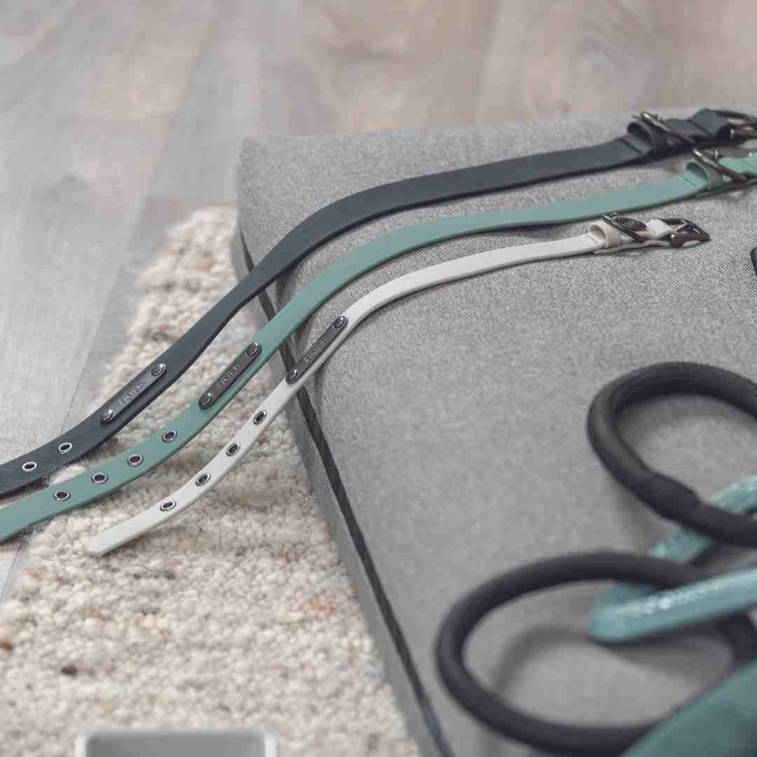 Trixie City Style PVC Collar PVC for Dogs, Sage