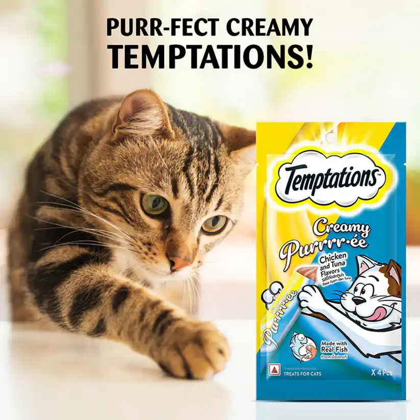 Temptations Creamy Cat Treat, Chicken & Tuna Flavour - 48 g (4 pieces)