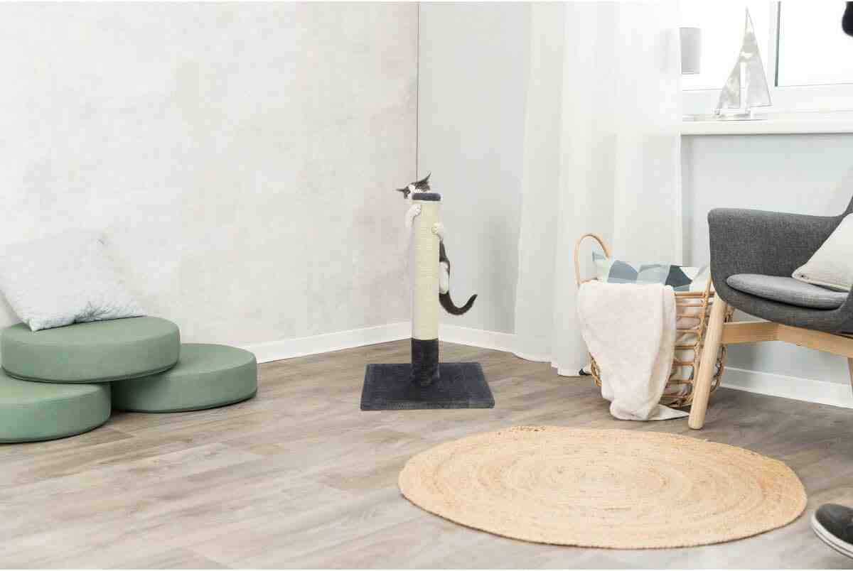 Trixie Batres Scratching Post (62cm, Platinum Grey)