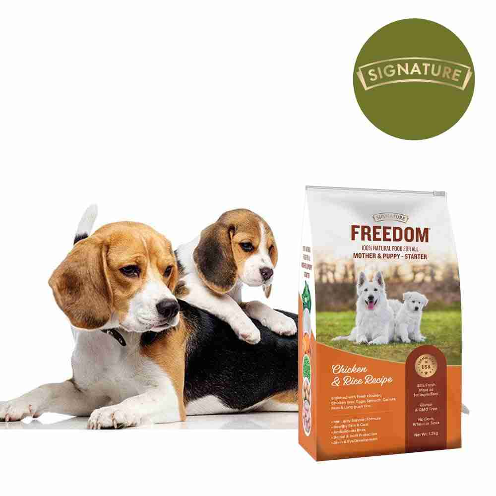 Freedom Chicken & Rice Starter (Mother & Puppy) Dog Dry Food, 1.2 kg