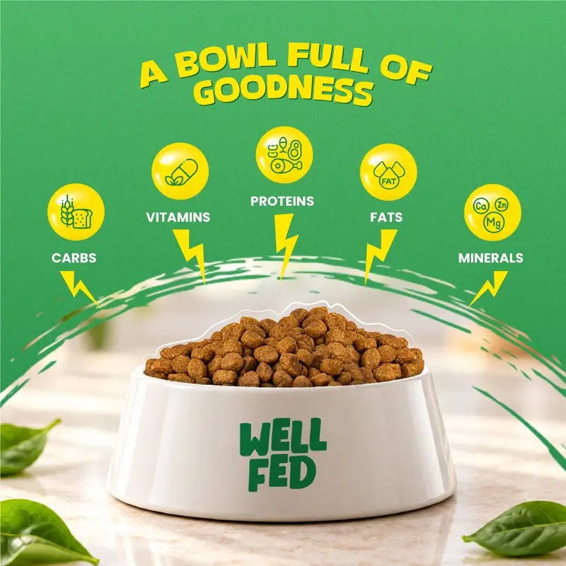 Well Fed Beneficial Grain Chicken and Veggies Dry Food for Dogs