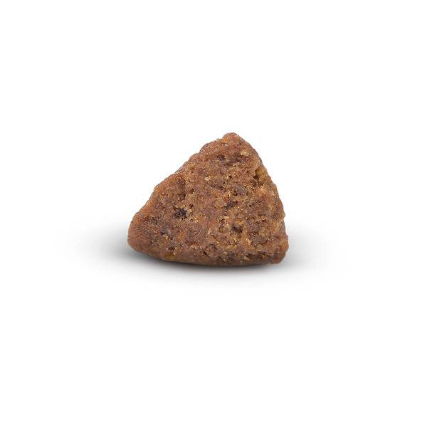 Arden Grange Dry Puppy/Junior Food, 2kg
