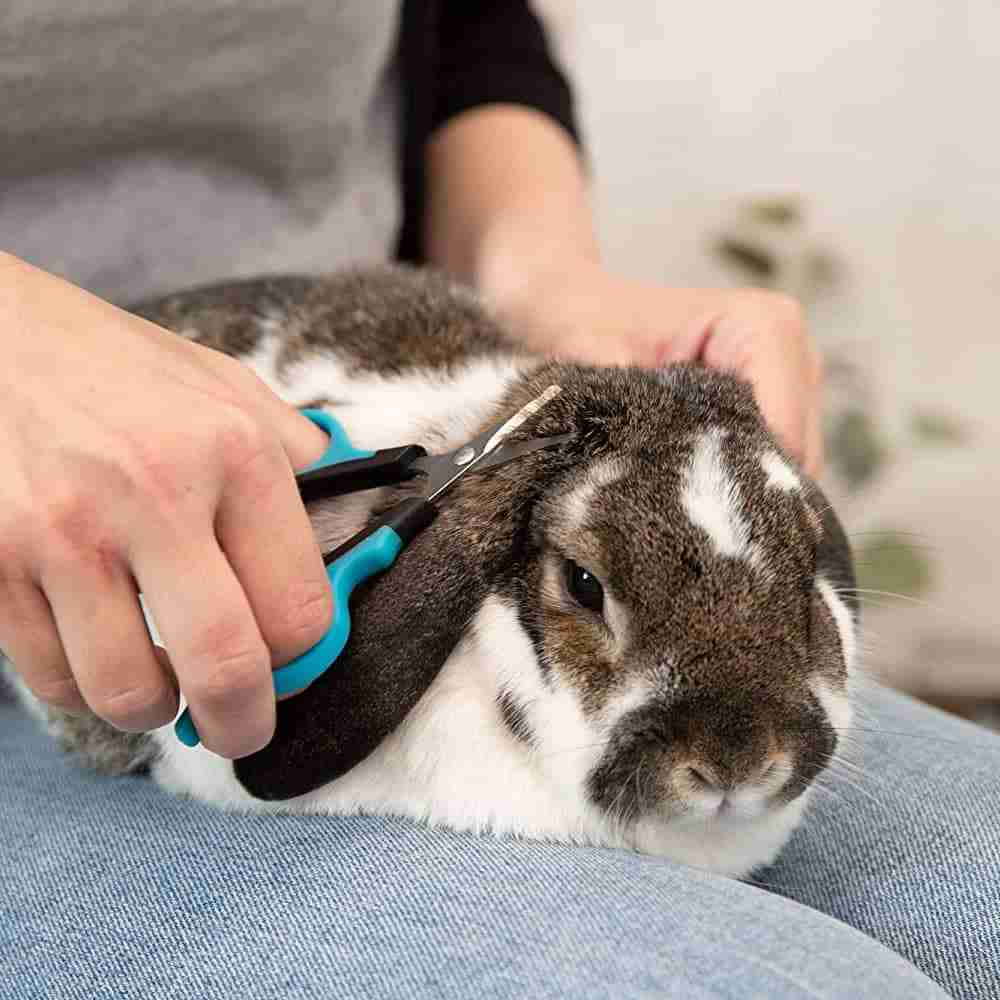 Trixie Face & Paw Scissors for Dogs and Cats