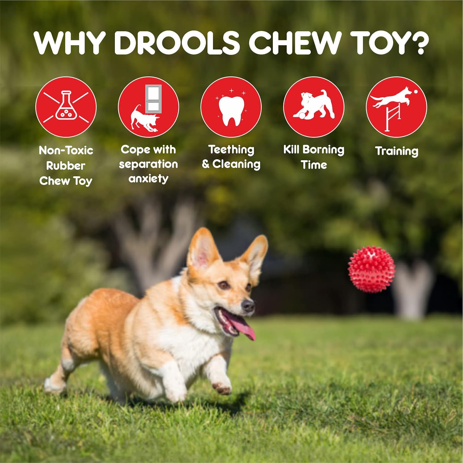Drools Spike Hard Ball Chew Teething Toy for Puppies and Dogs