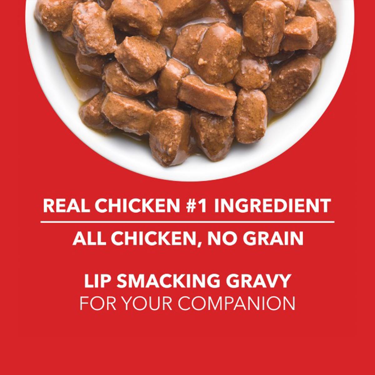 Drools Adult Chicken Chunks Gravy Dog Wet Food - 150g - Pack of 5 + 1