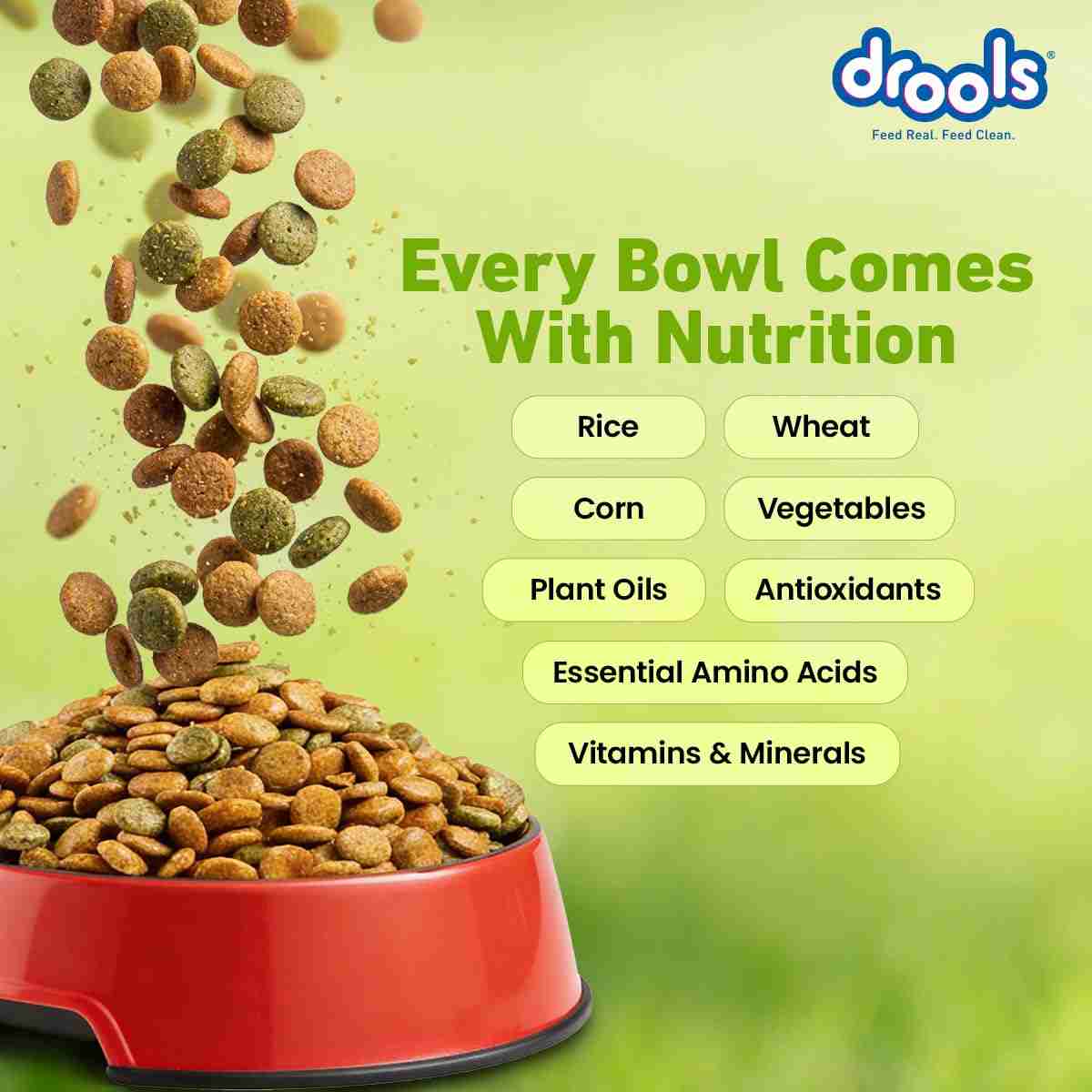 Drools Vegetarian Puppy and Adult Dog Veg Dry Food