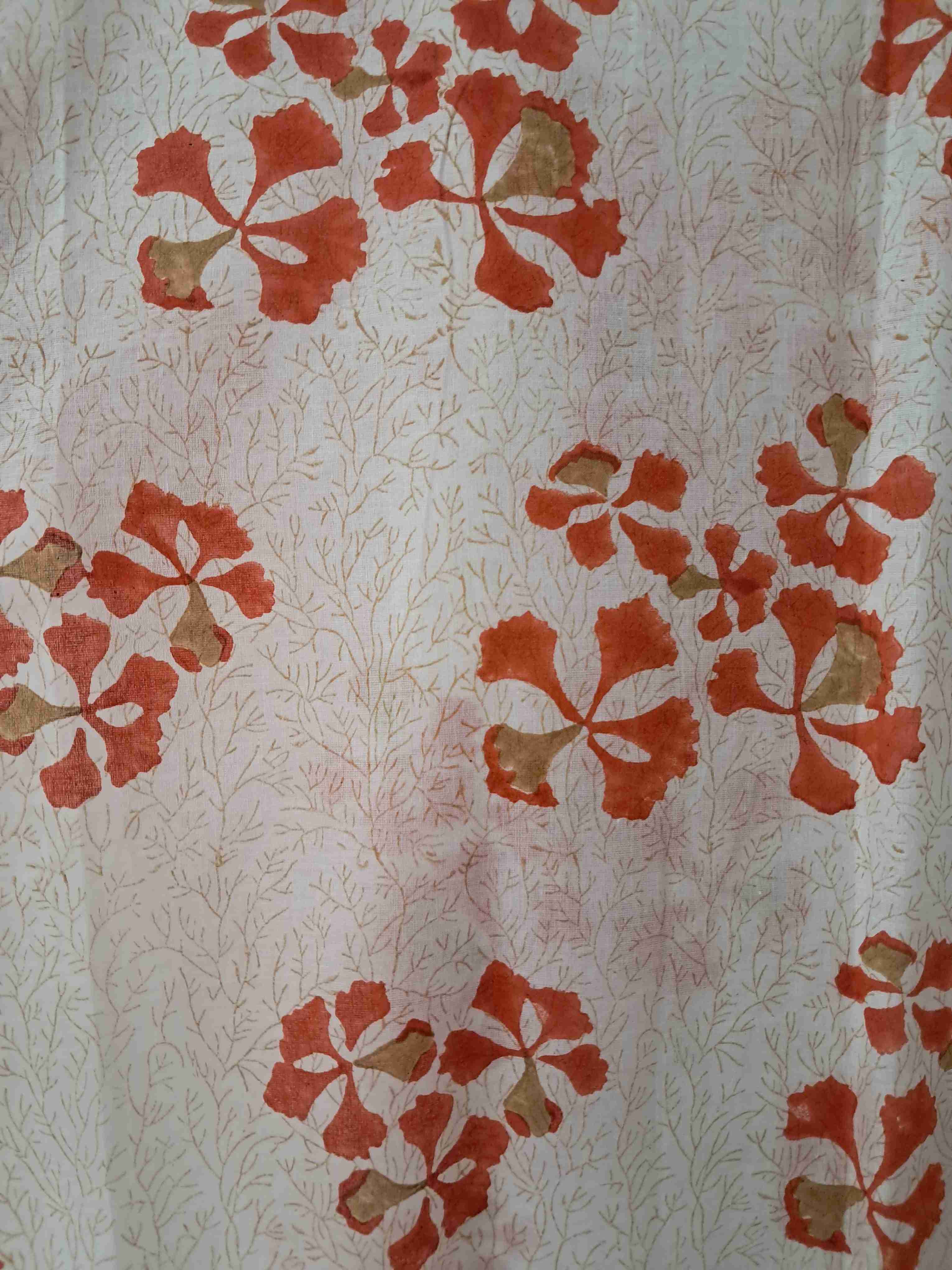Mull Cotton Saree