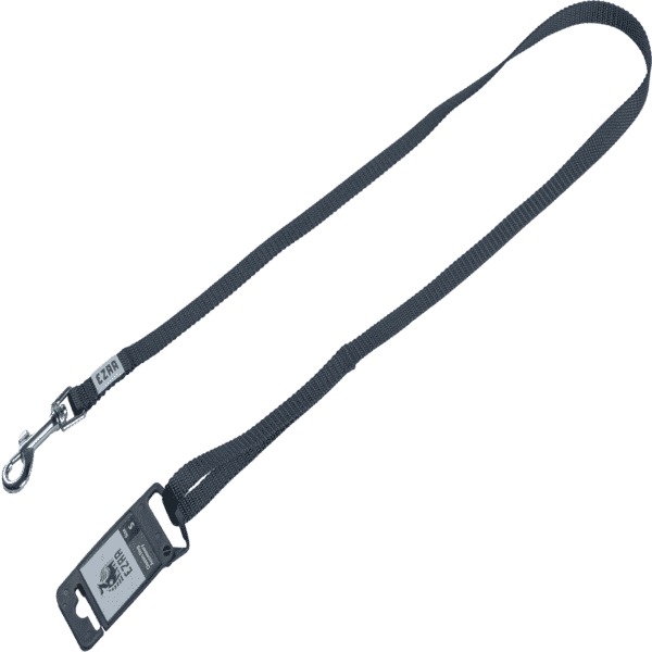 Ezra Classic Dog Leash - Teal