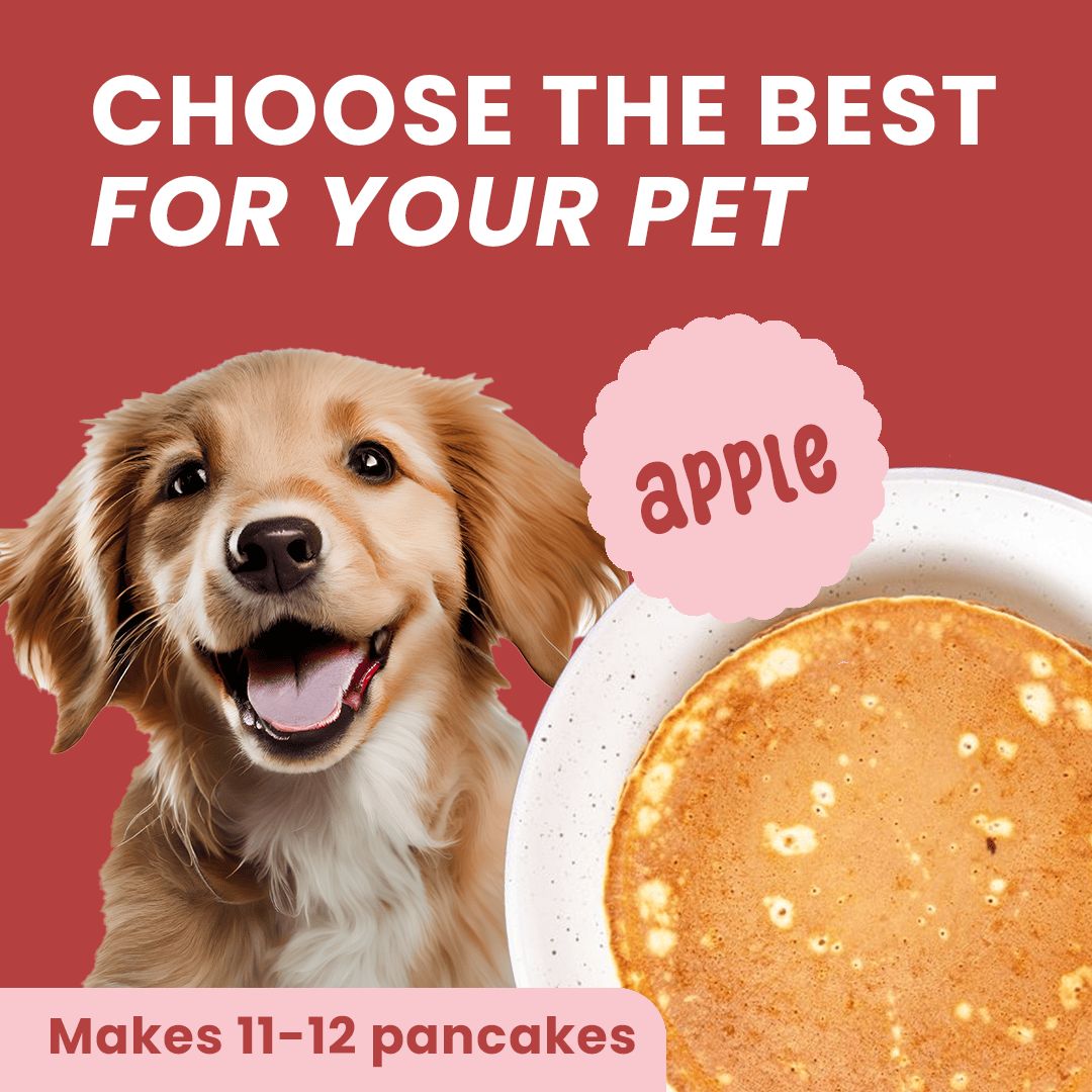 Casper Pancake Mix Apple Flavour Dog Treat - 250g