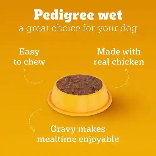 Pedigree Chicken & Liver Chunks In Gravy Puppy Wet Food, 130g