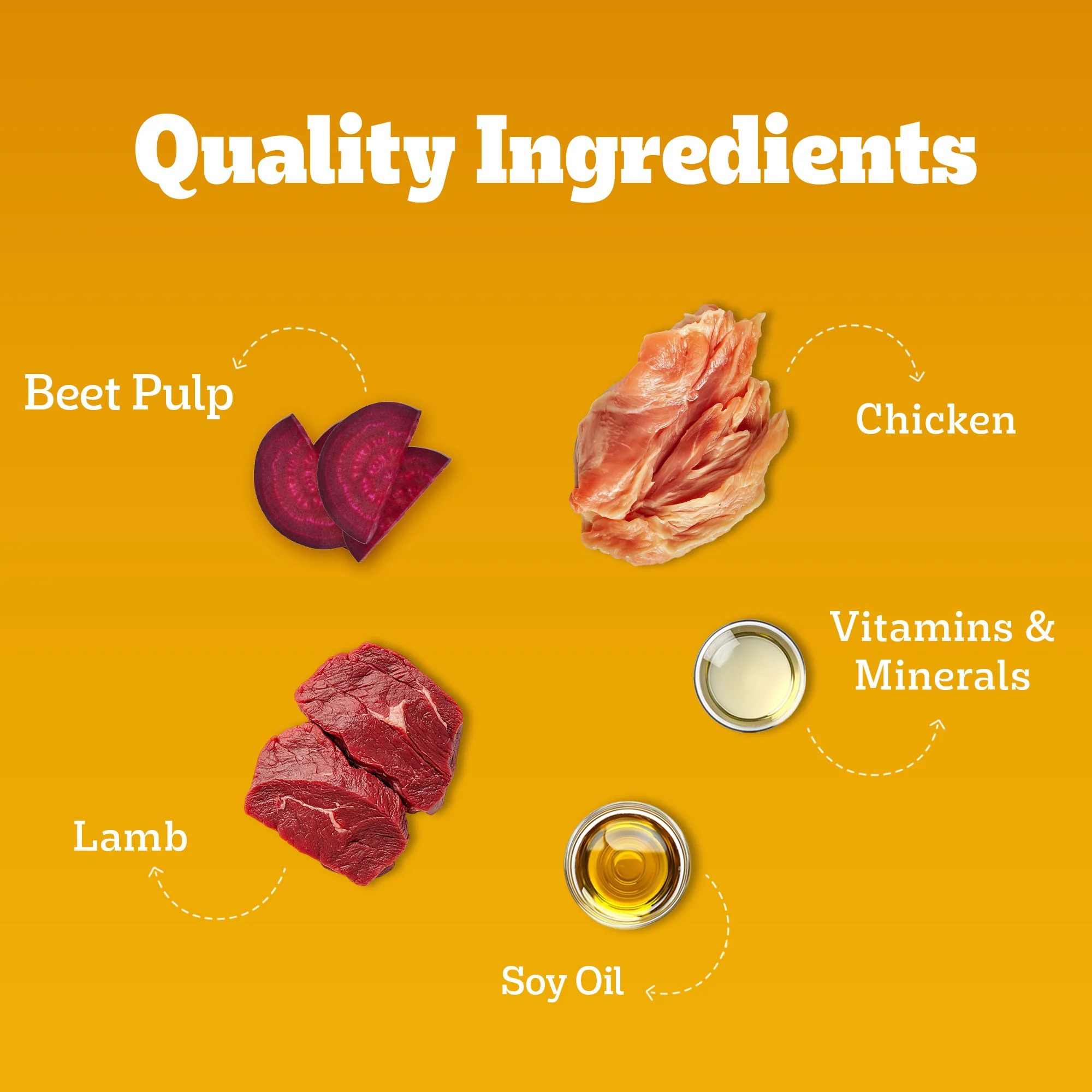 Pedigree Pouch Puppy Lamb Chunks In Gravy 70gm – (Best Before Jul’26)