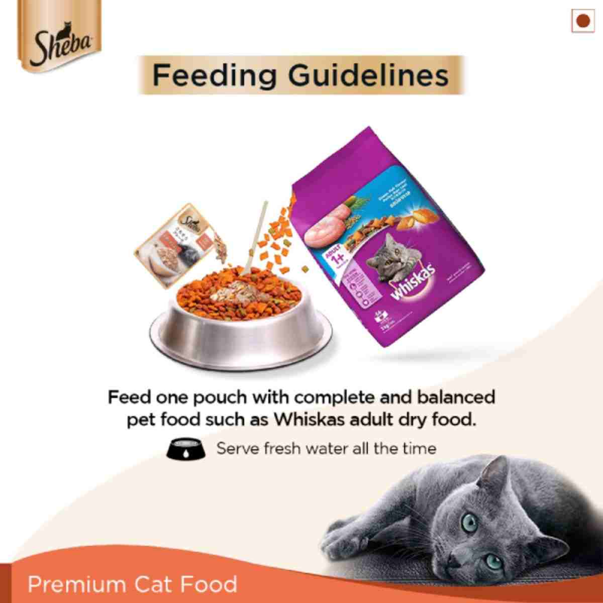 Sheba Premium Fish with Sasami Wet Cat Food - 35 gm
