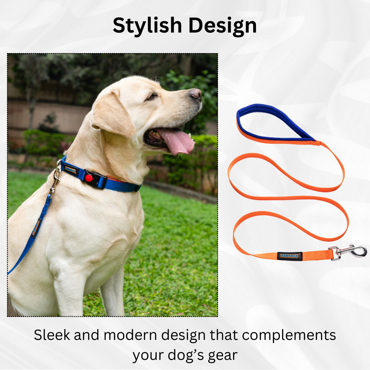 Waggety Dog Leash, Blue
