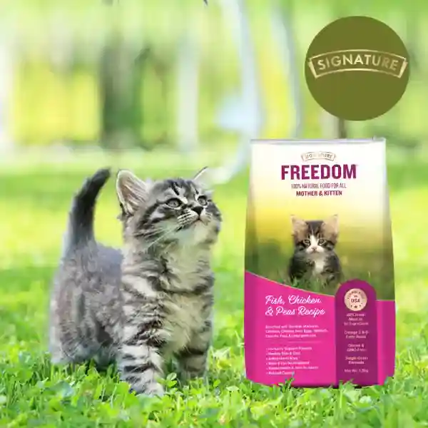 Freedom Fish, Chicken & Peas Kitten Dry Cat Food