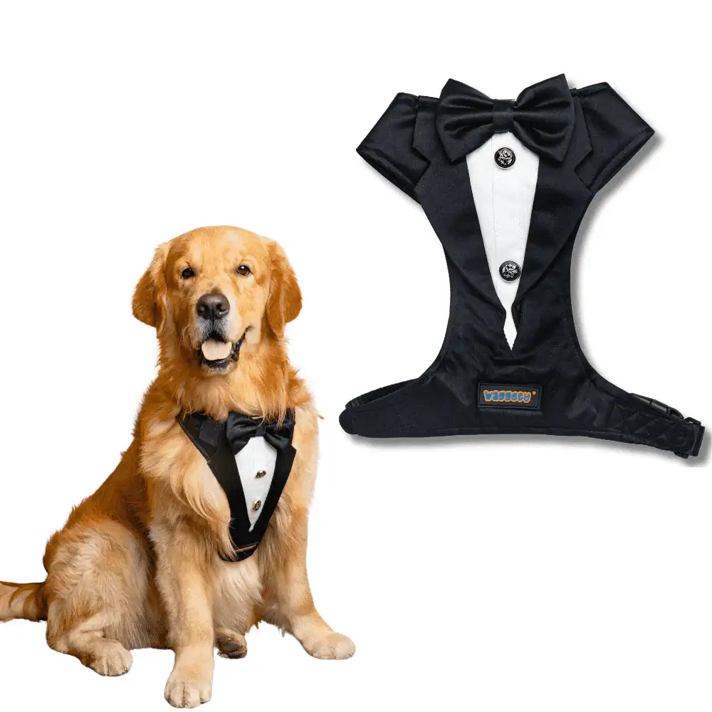Waggety Tuxedo Dog Harness, (Black & White)