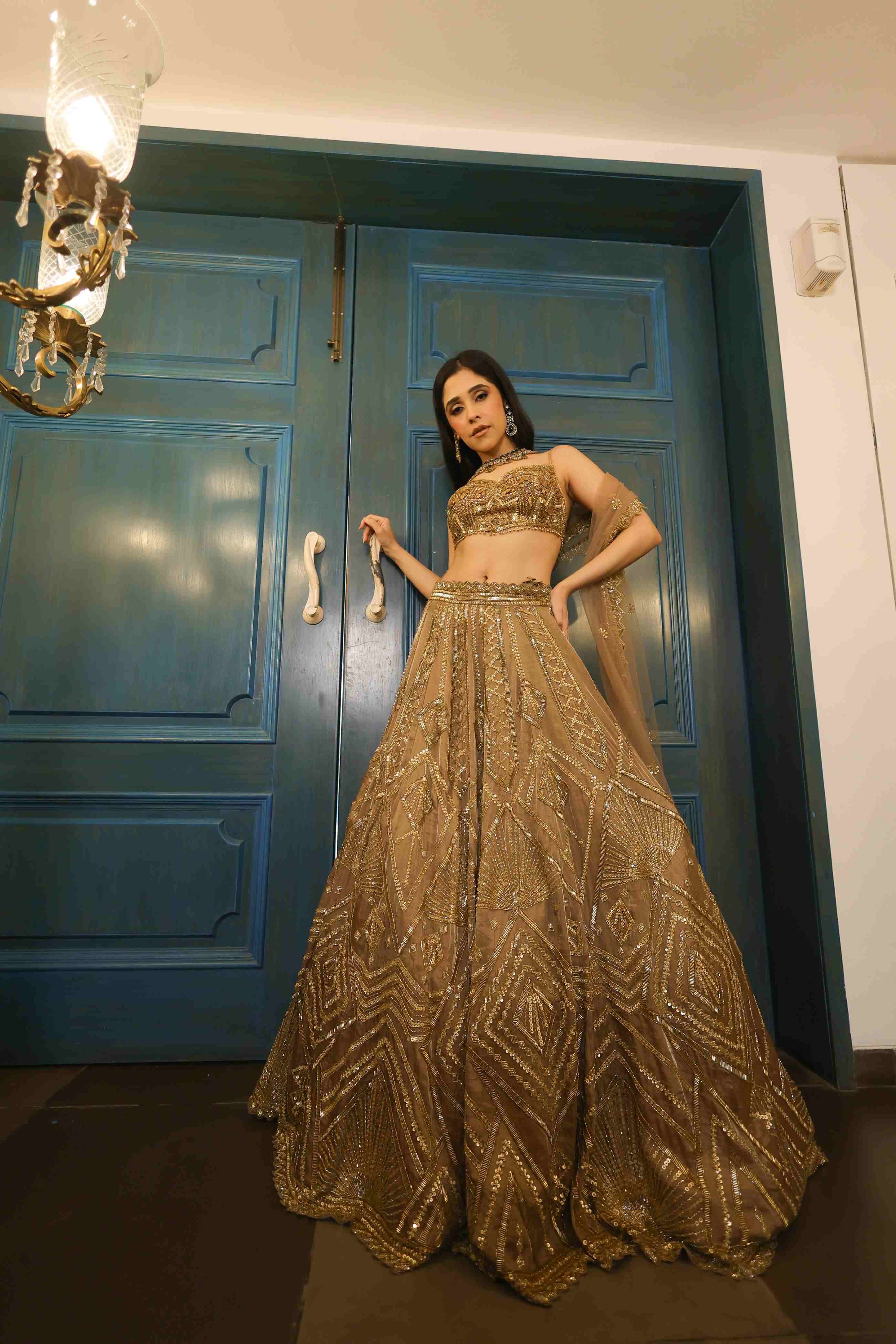 Mocha Tissue Lehenga