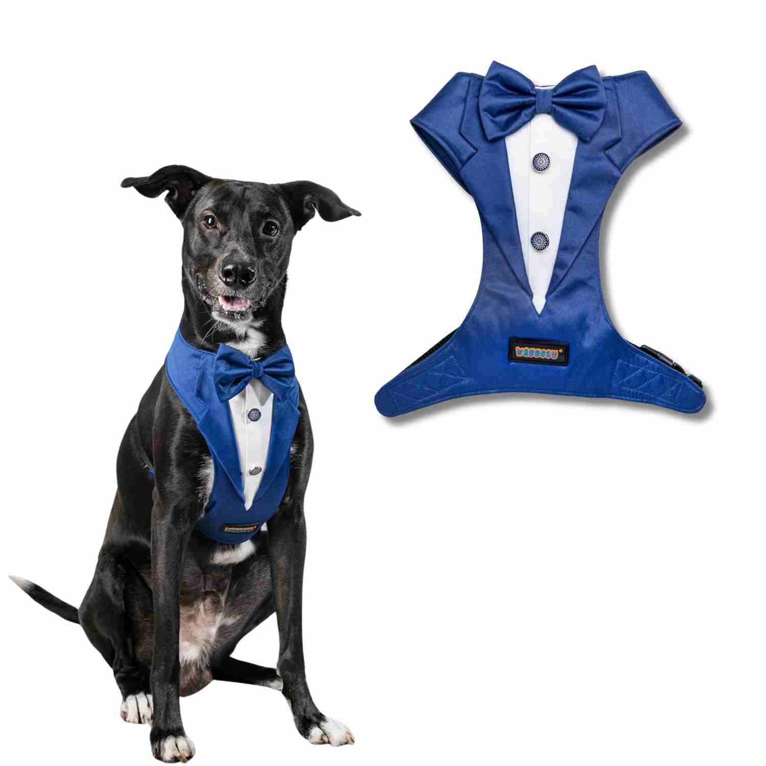 Waggety Tuxedo Dog Harness, (Blue & White)
