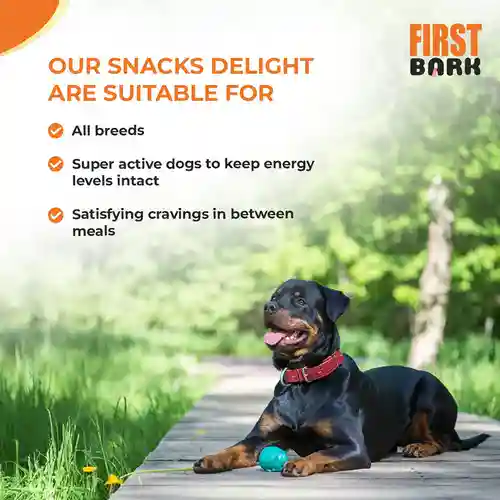First Bark Soft Chicken Breast Dog Treat