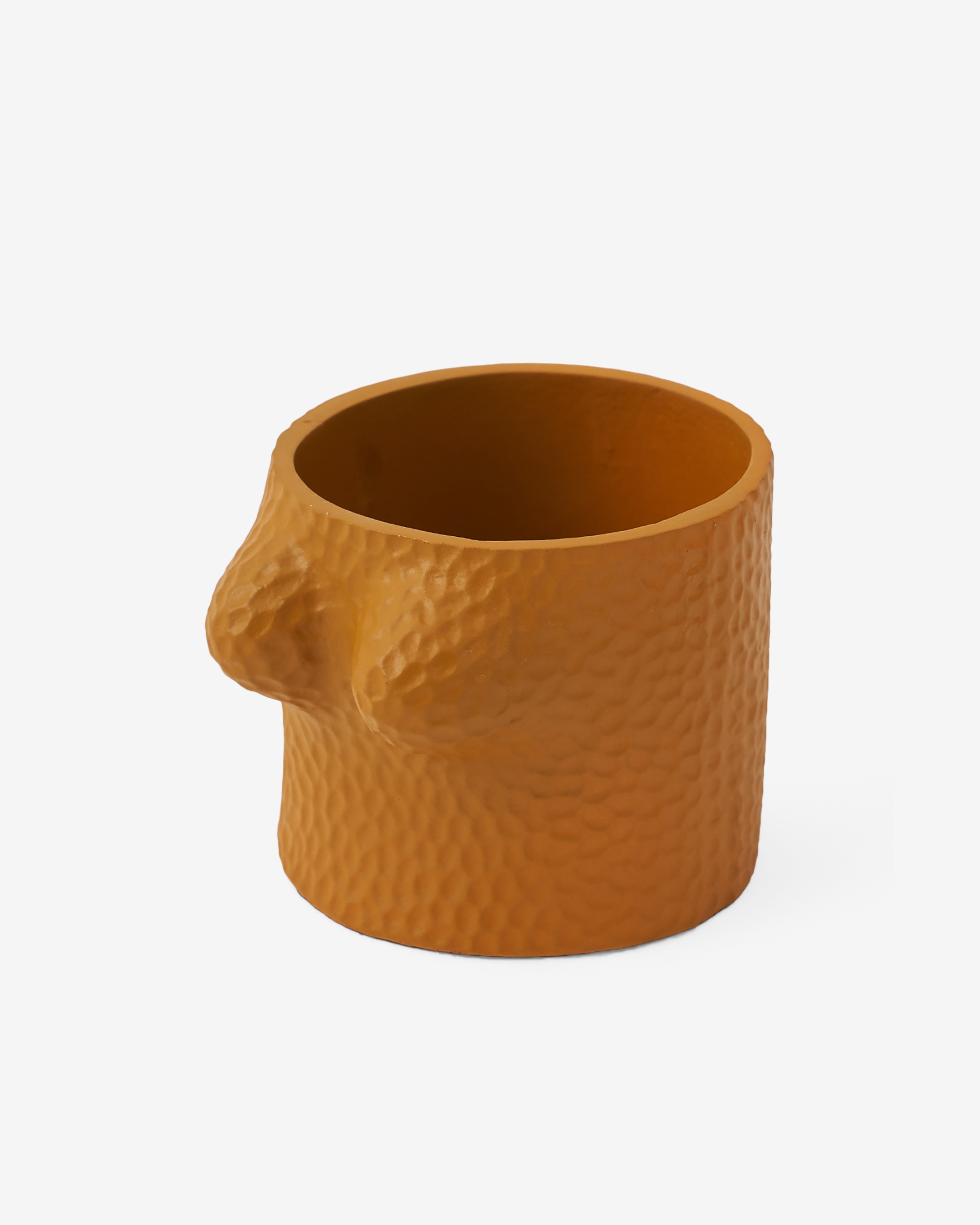 Squirrel Holder