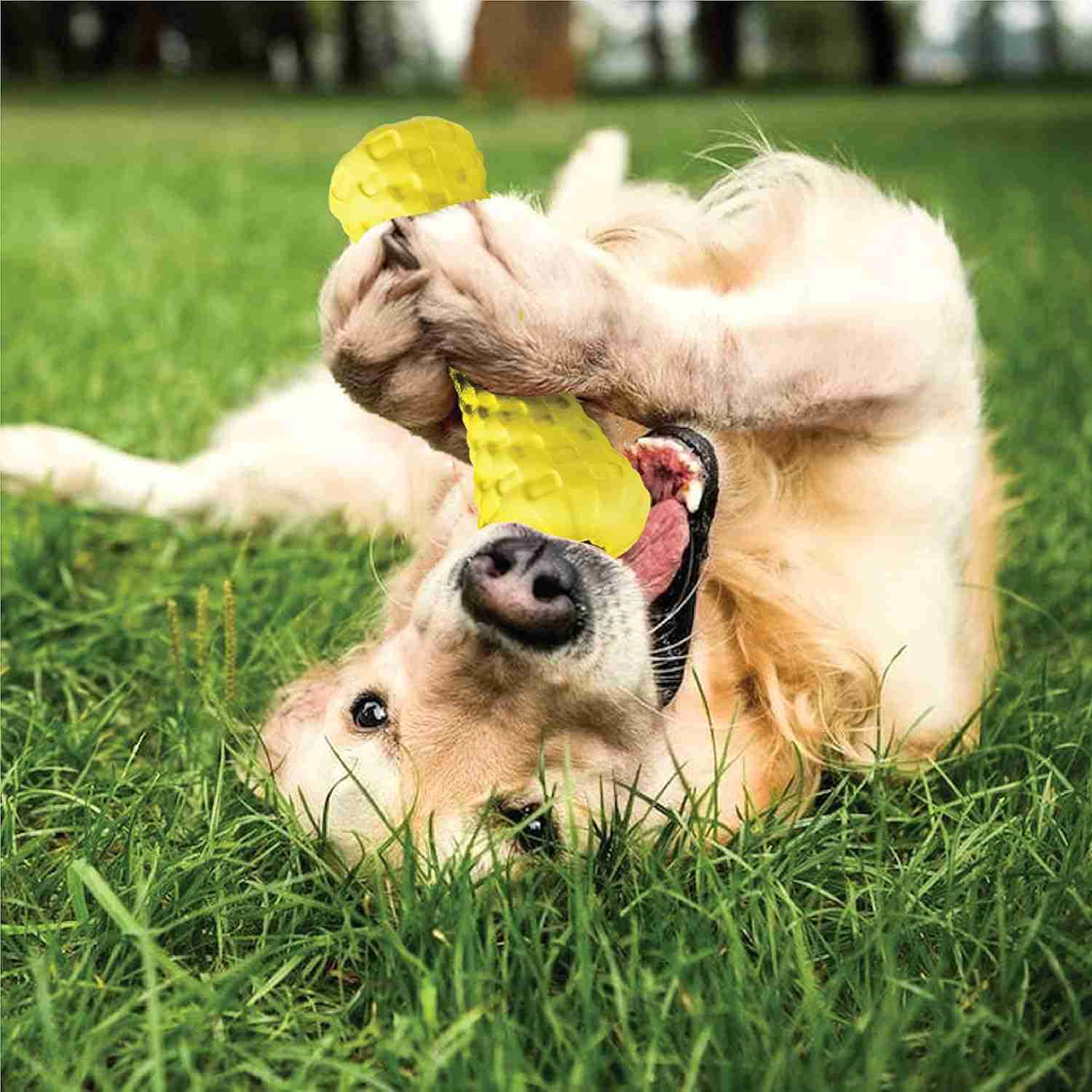 Goofy Tails Dumbbell Natural Rubber Treat Dispensing Interactive Dog Toy