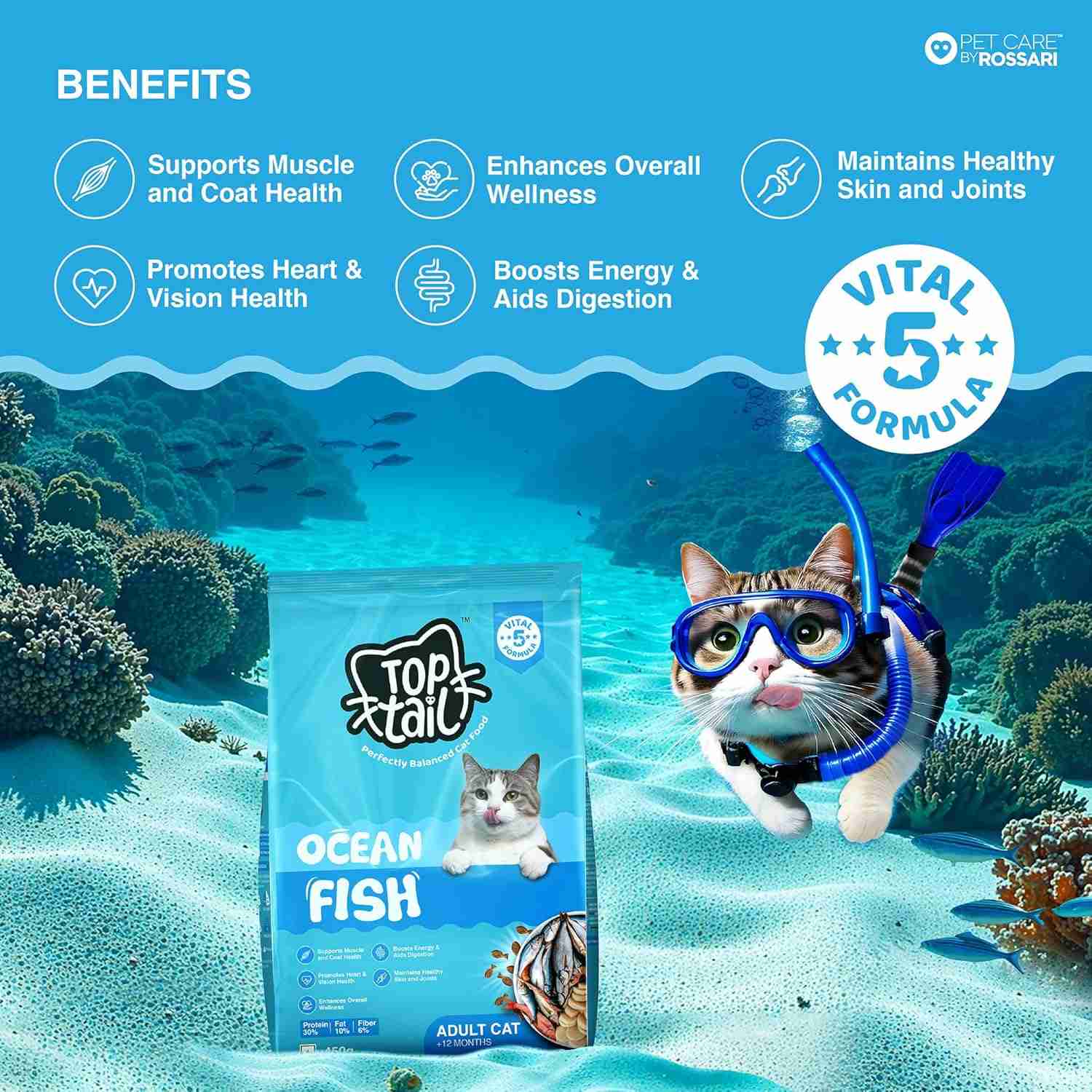 Top tail Ocean Fish Dry Food for Adult Cat
