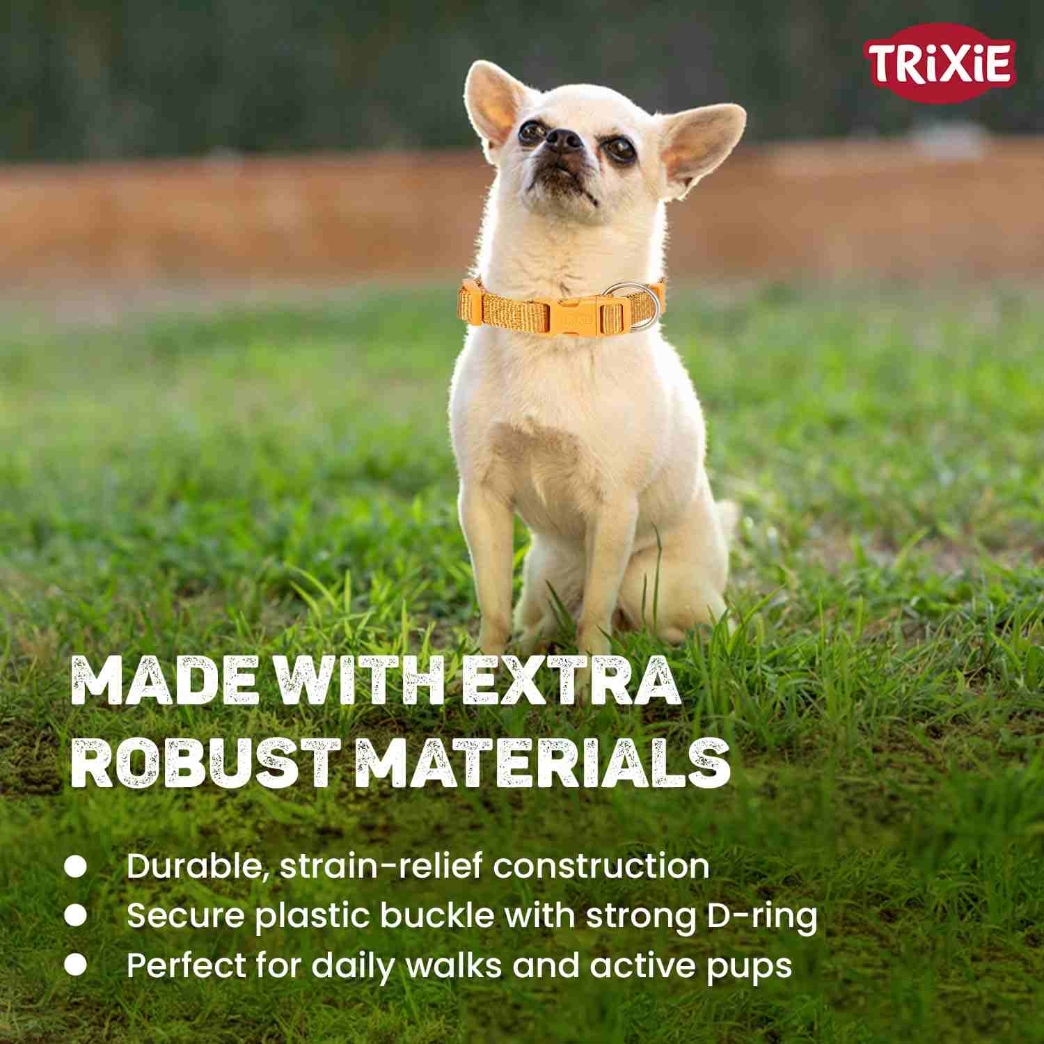 Trixie Premium Nylon Dog Collar (Curry)