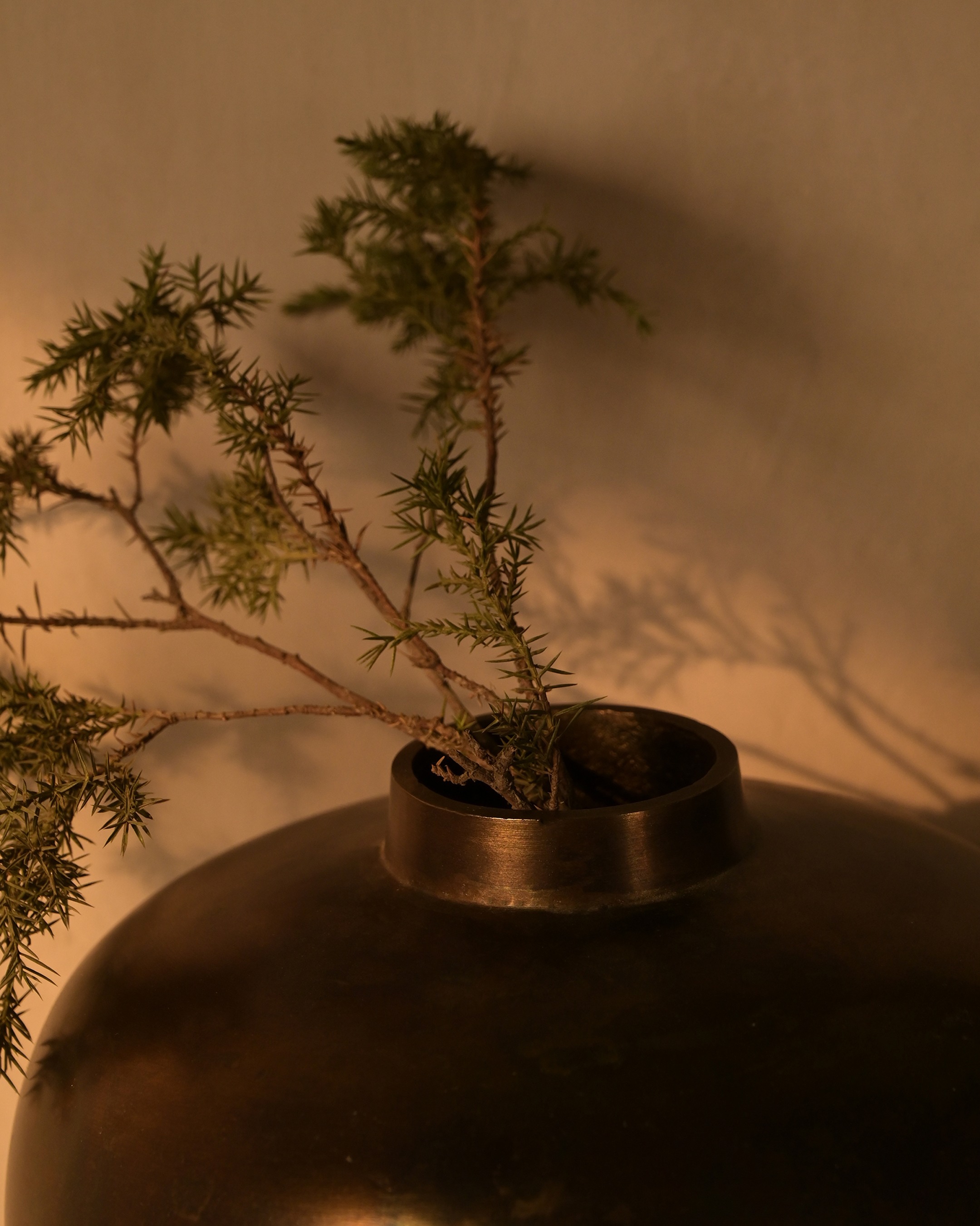 Caelum Vase