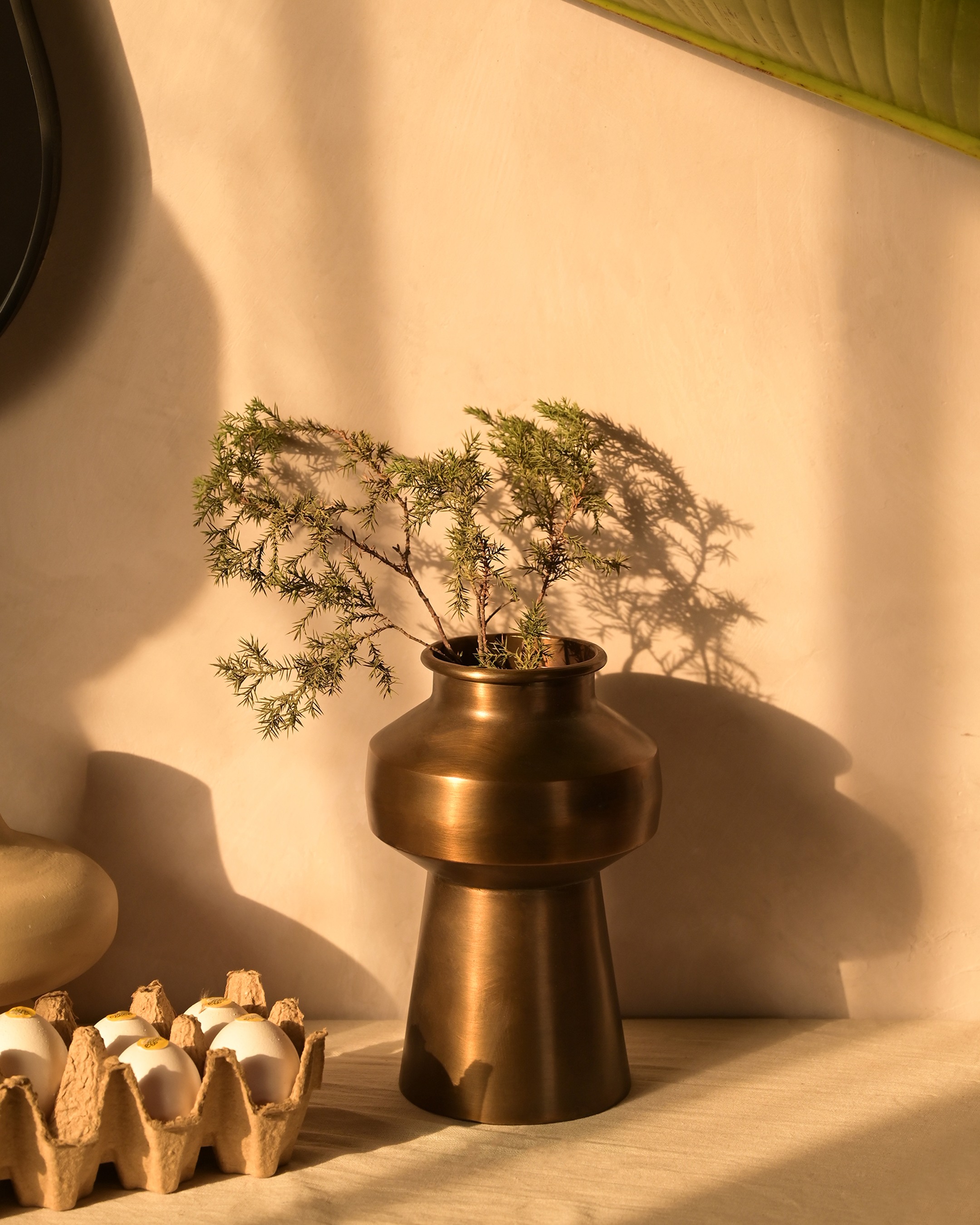 Isla Vase
