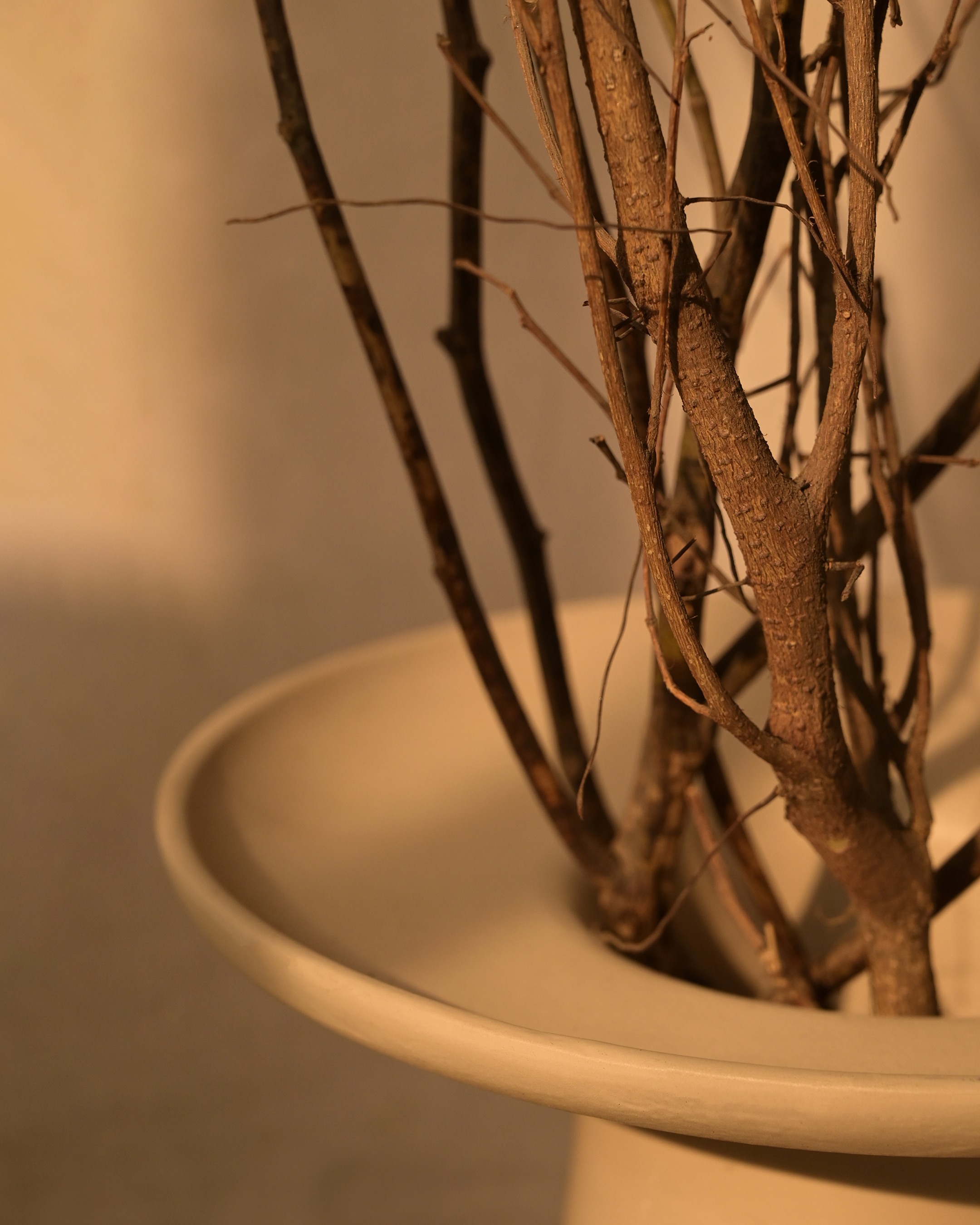 Lume Vase