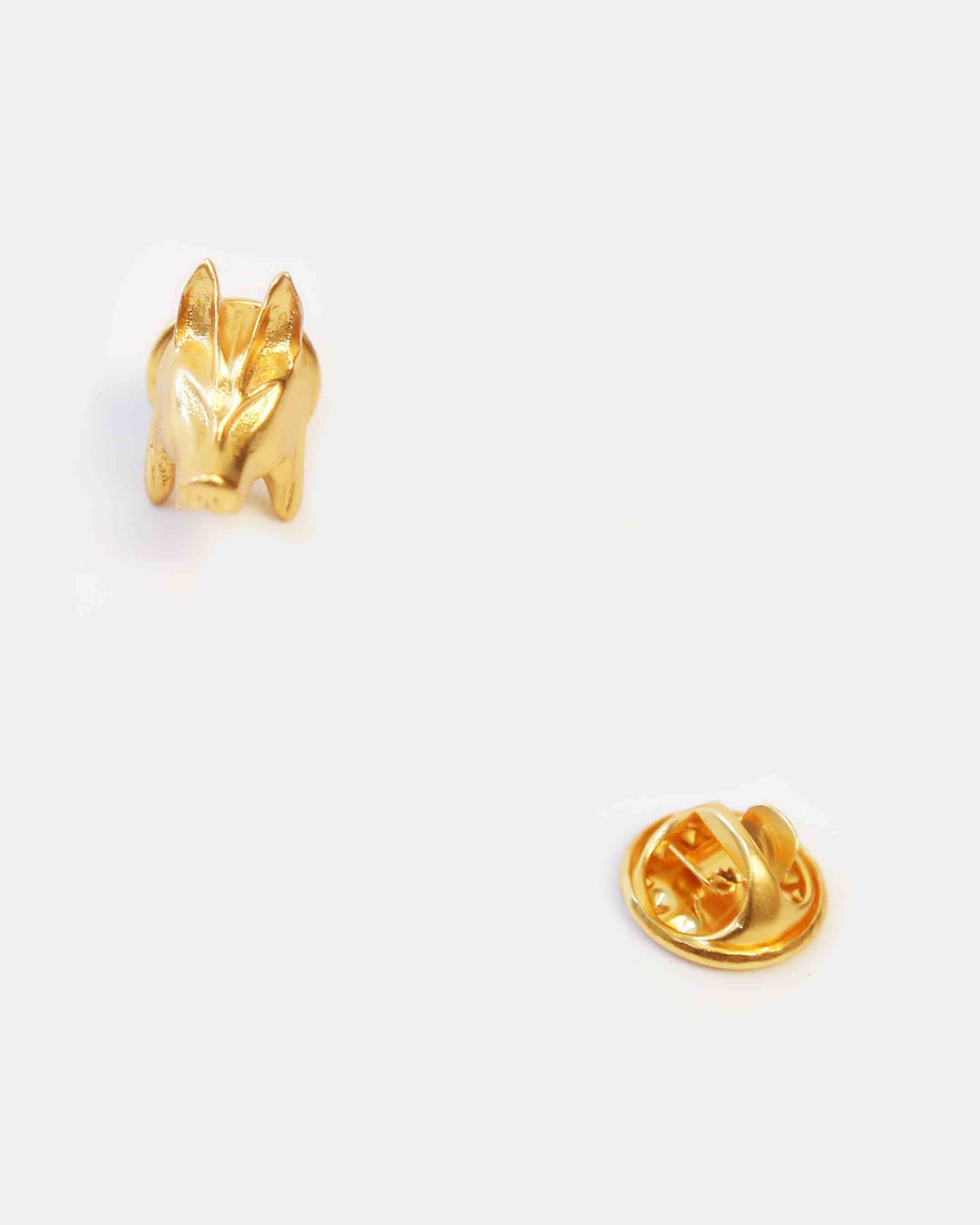 Rogue Brooch Pins