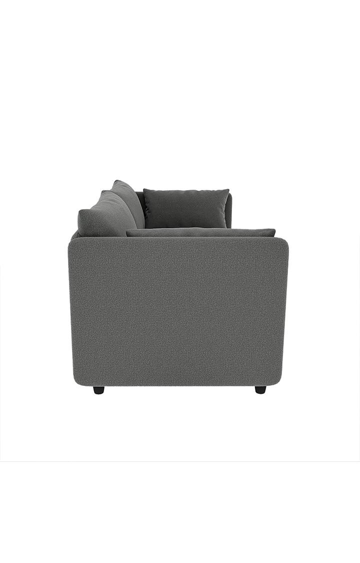 neudot Show Fabric Pull-Out Sofa Cum Bed for Living Room | 3 Seater Sofa Bed for Drawing Room & Bedroom|Diwan| Dark Grey Colour