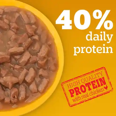 Pedigree Adult Chicken & Liver Chunks In Gravy Wet Dog Food 490g