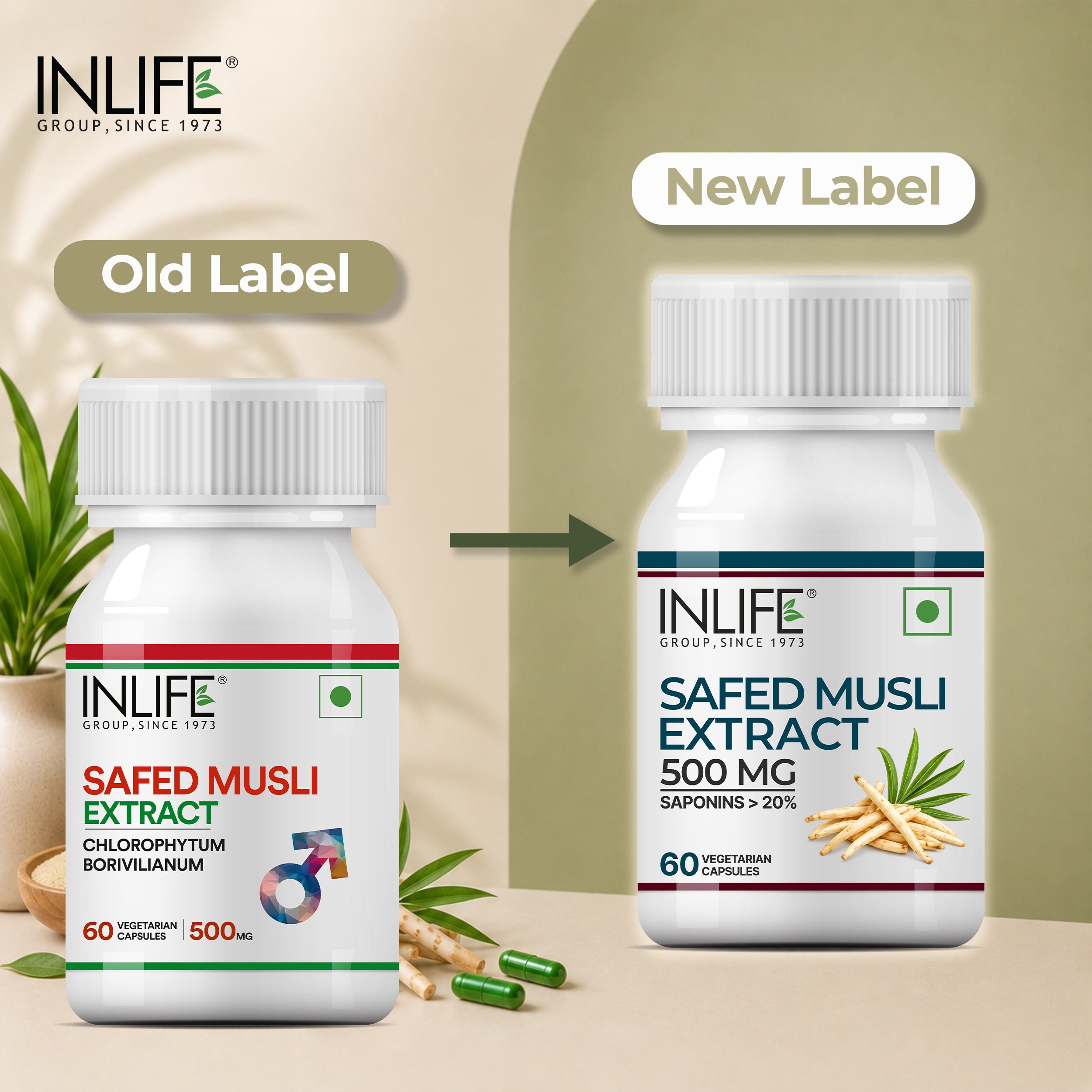 Inlife | Safed Musli Capsules 500mg | Natural Supplement for Strength, Stamina, and Immunity | 60 Veg Cap