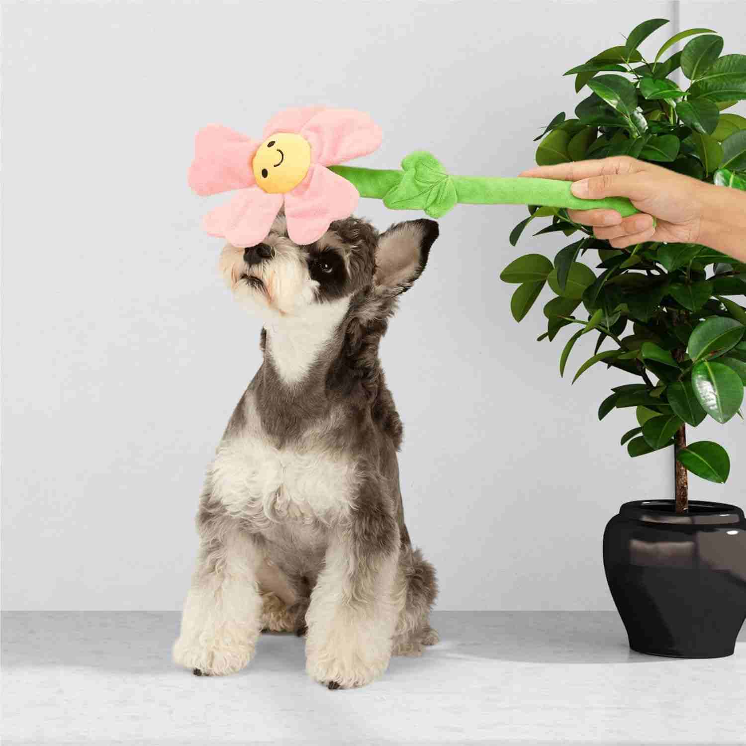 Barkbutler Fofos Pink Flower Crinkle Rope Toy for Dogs