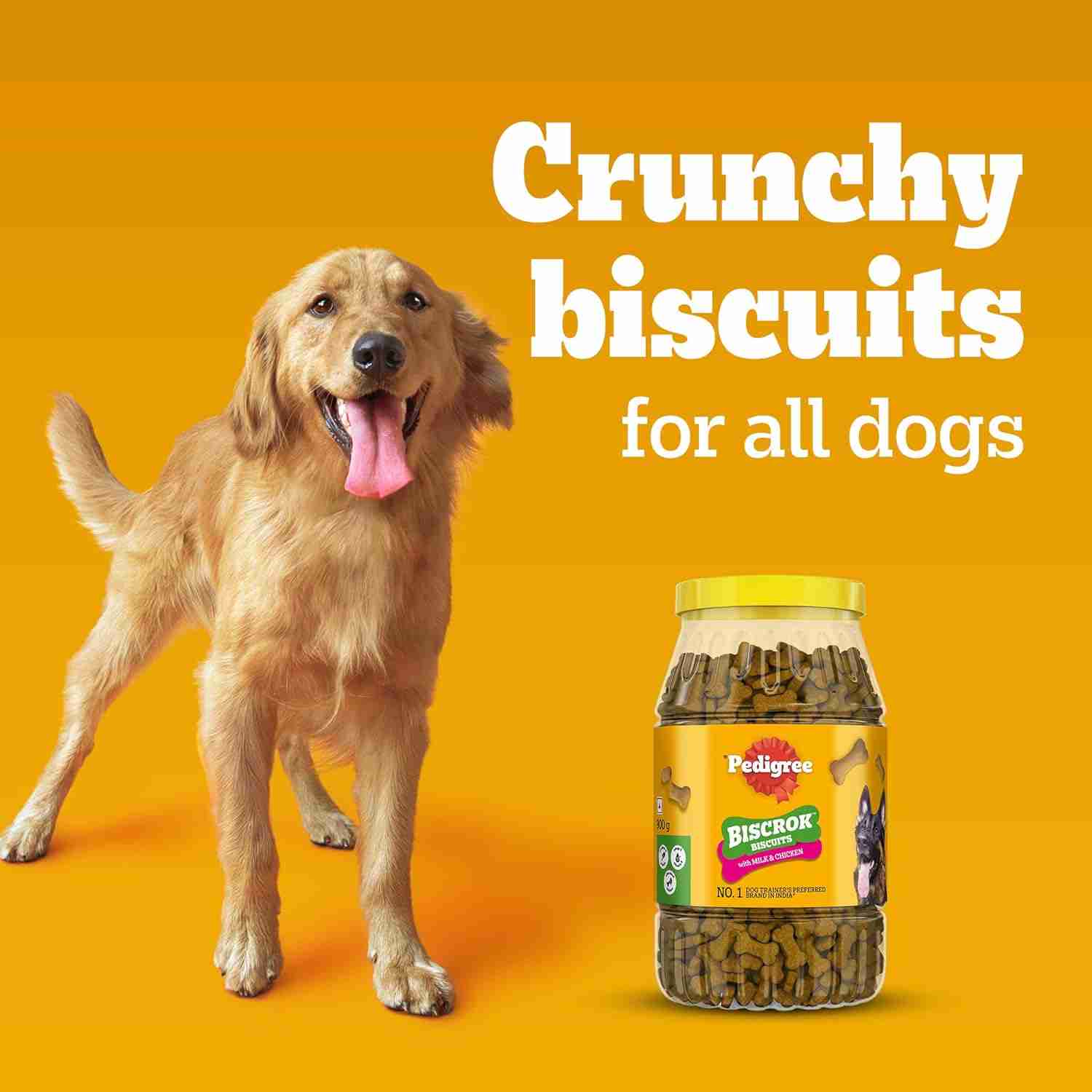 Pedigree Biscrok Protein & Calcium Biscuits for Dogs with Milk & Chicken 900 g