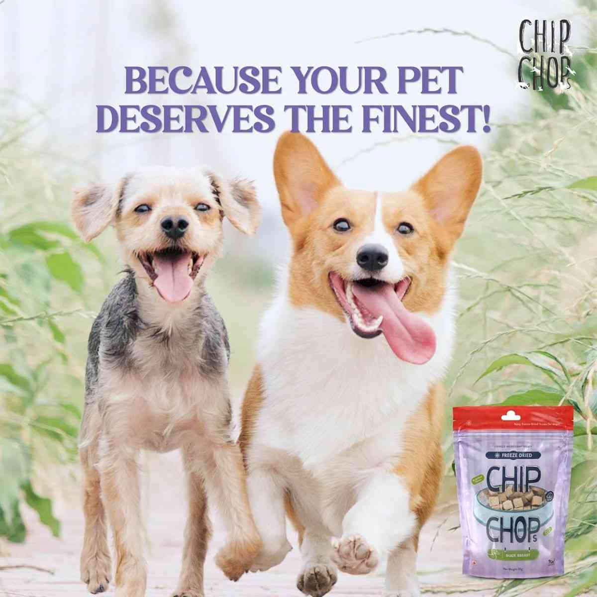 Chip Chops Freeze Dried Duck Breast Dog Treat - 35gm