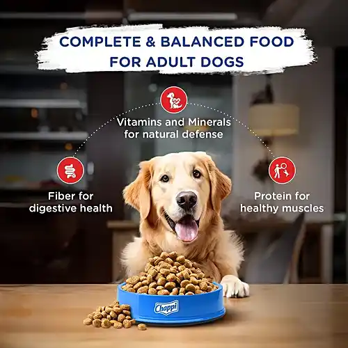 Chappi Dry Dog Food Chicken & Rice For Adult 1+ Years, 20 kg