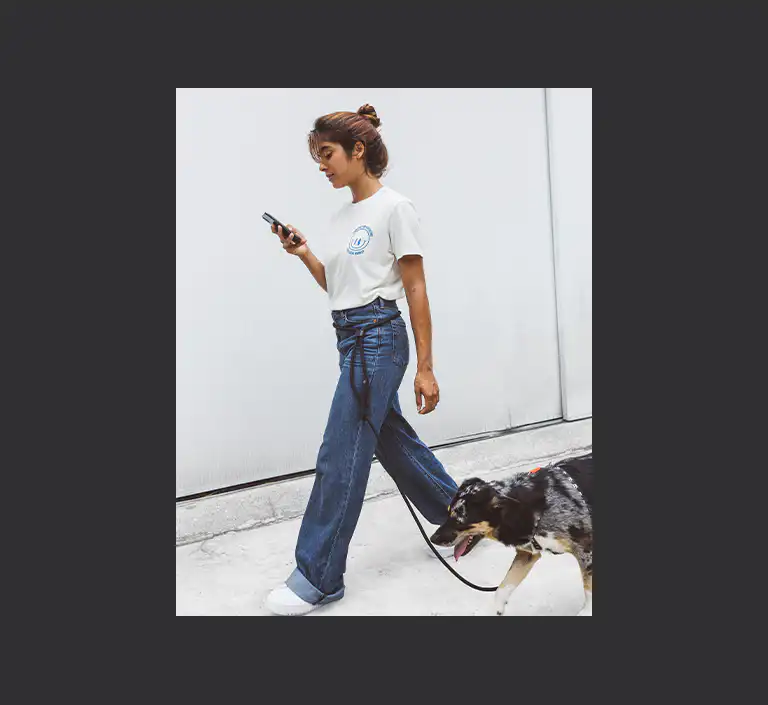 Zee.Dog Gotham Hands-Free Leash for Dogs