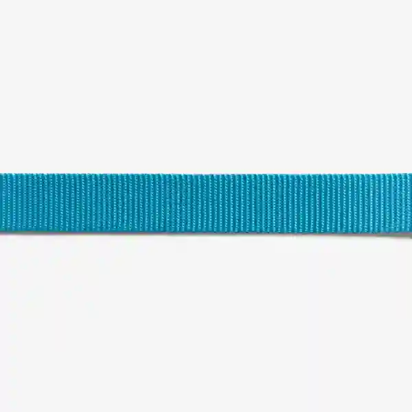 Zee Dog Ultimate Blue Leash