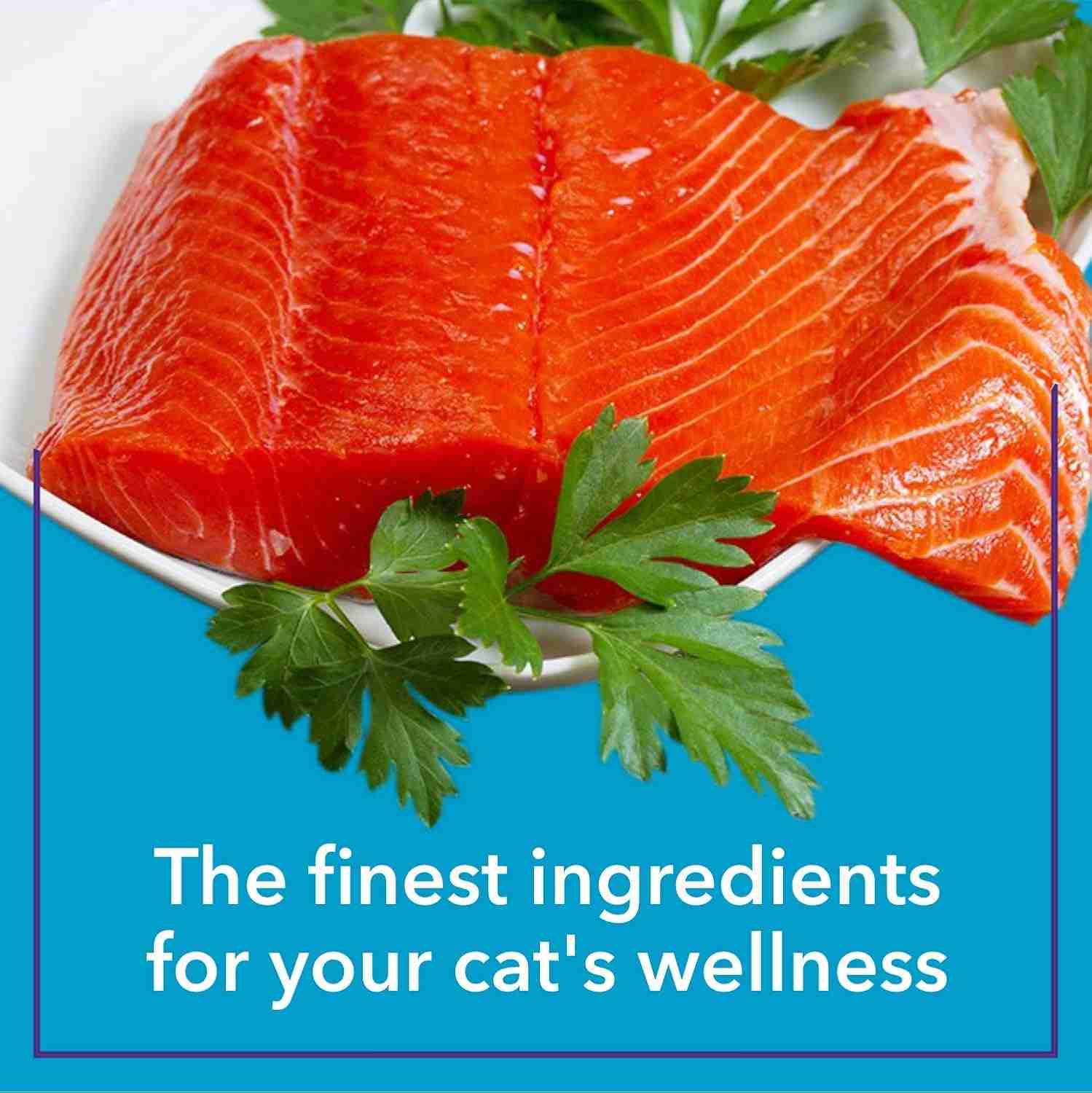 Purepet Real Chicken & Chicken Liver in Gravy Cat Wet Food, 50g