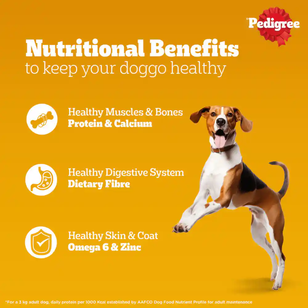 Pedigree Pouch Adult Lamb Chunks In Gravy Wet Food for Dogs, 70g