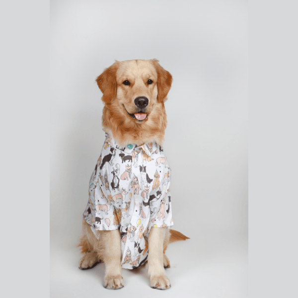 Ezra. | Ezra Polyester Blend Dog Shirt - Party