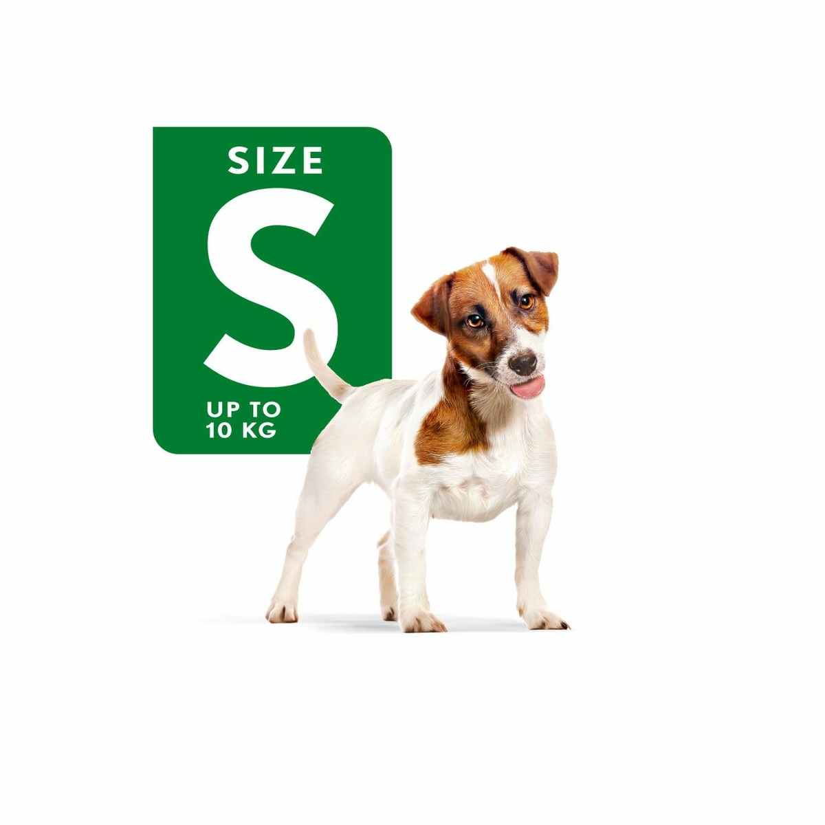 Royal Canin Mini Adult Wet Dog Food - 85 g