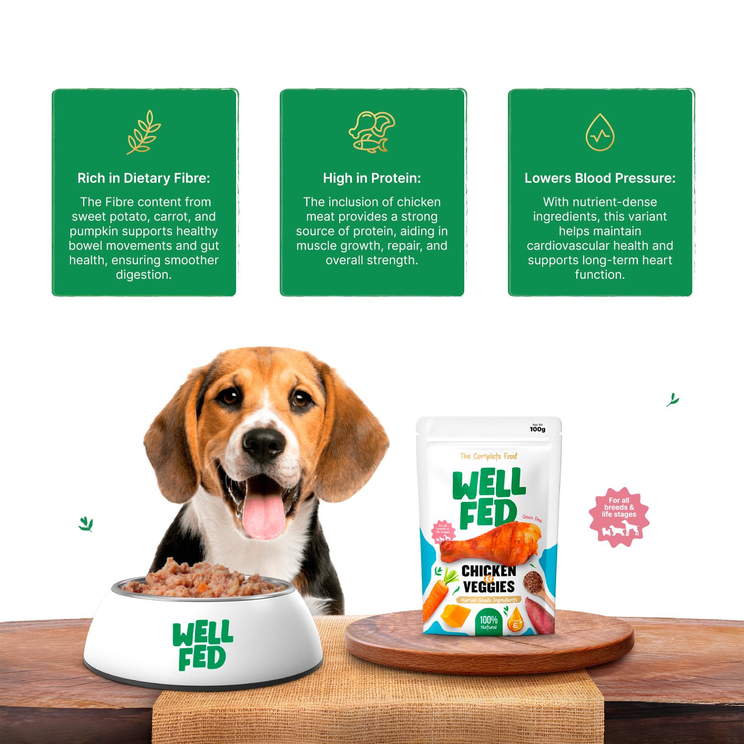 Well Fed Chicken & Veggies Wet Dog Food 300 g