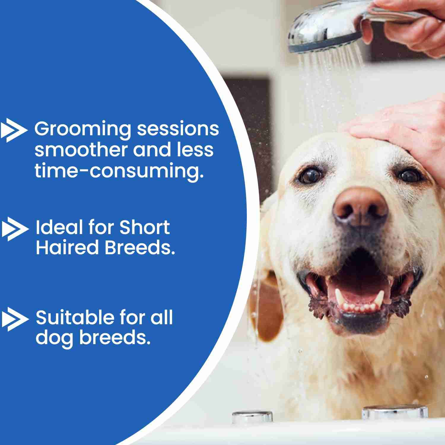 Forcans Short Coat Aloe Shampoo for Dogs