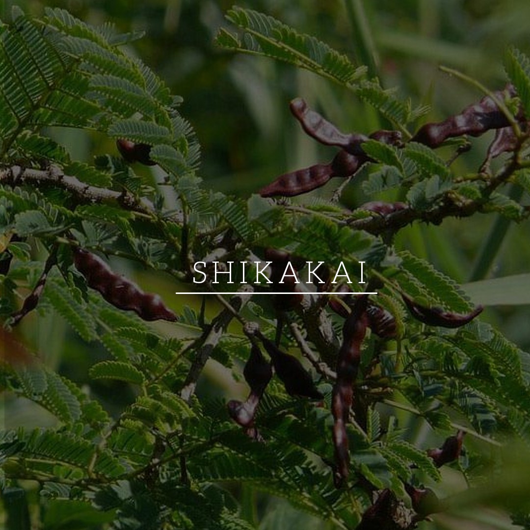 KHADI NATURAL Shikakai & Honey Hair Cleanser-Powered Botanics