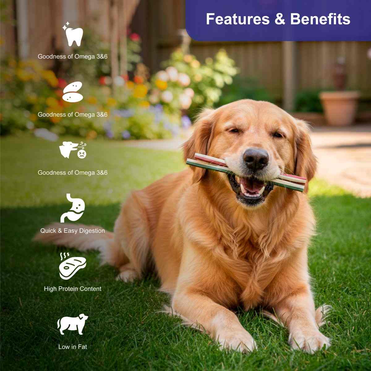 Snackers Non Rawhide Chews Lotus Root Stick for Dogs, 225 g