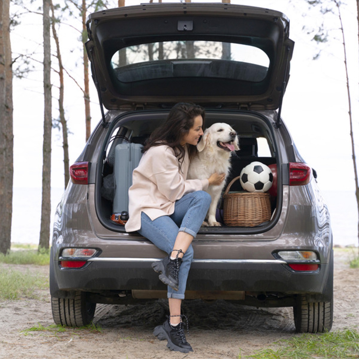 Ezra Pet Car Seat Cover