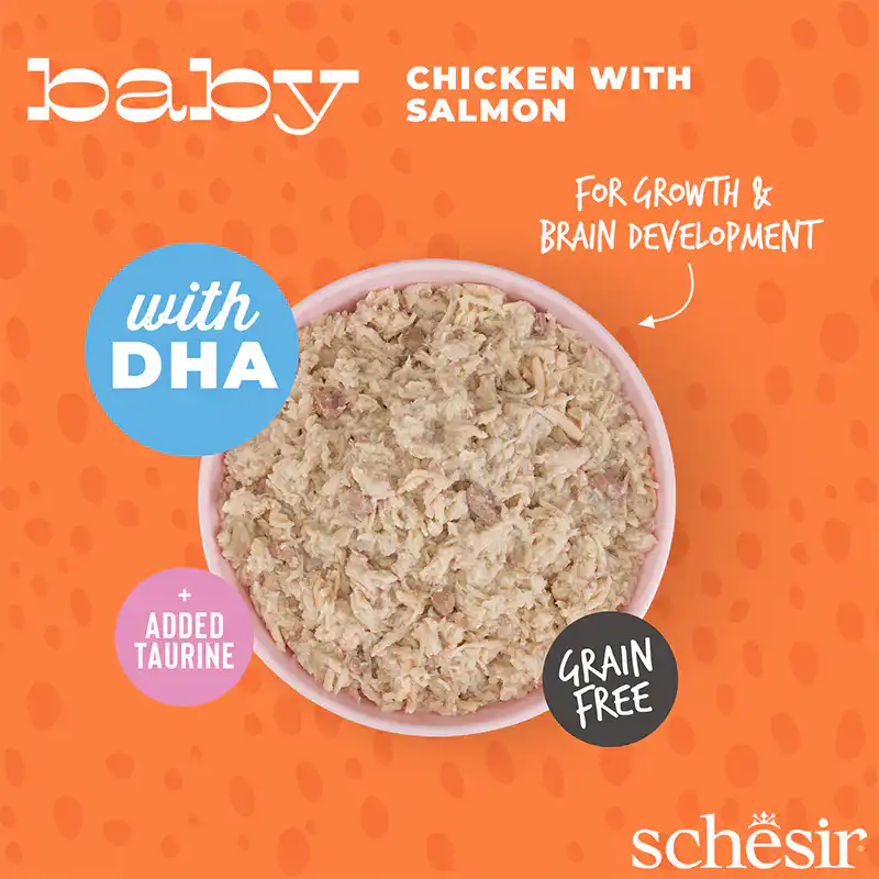 Schesir Baby Kitten Wholefood Chicken and Salmon Wet Food, 70g